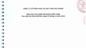 Báo cáo tài chính đã được kiểm toán cho năm tài chính 2024