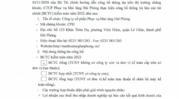 Báo cáo tài chính đã được kiểm toán cho năm tài chính kết thúc ngày 31/12/2022
