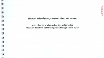 Báo cáo tài chính đã được kiểm toán cho năm tài chính kết thúc ngày 31/12/2023