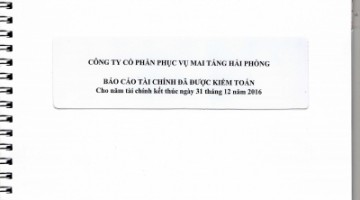 BÁO CÁO TÀI CHÍNH NĂM 2016