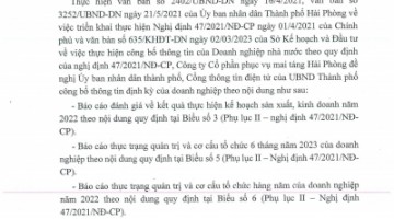 Công bố thông tin: biểu 3, 5 và 6 theo nghị định 47