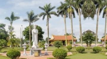 Giới thiệu công ty
